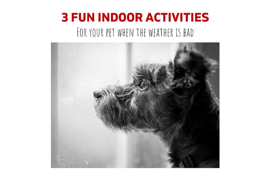 3 Fun Indoor Activities for a Rainy Day